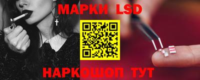 индика Усть-Джегута