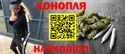 индика Усть-Джегута