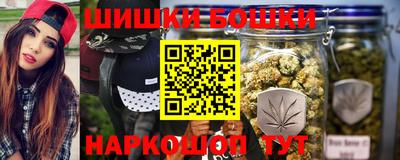 индика Усть-Джегута